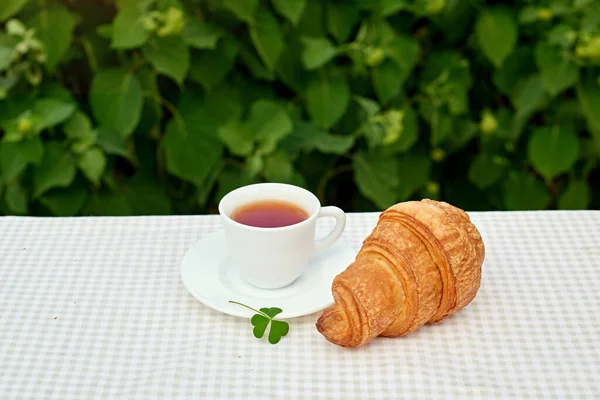 Masada beyaz arka planda papatya çayı ve taze kruvasan olsun. Bahar kahvaltısı kavramsal kompozisyonu