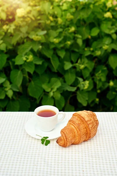 Masada beyaz arka planda papatya çayı ve taze kruvasan olsun. Bahar kahvaltısı kavramsal kompozisyonu