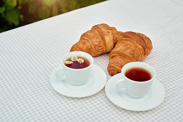 Two Cup Black Tea Camomile Fresh Croissants Table White Background — Stok fotoğraf