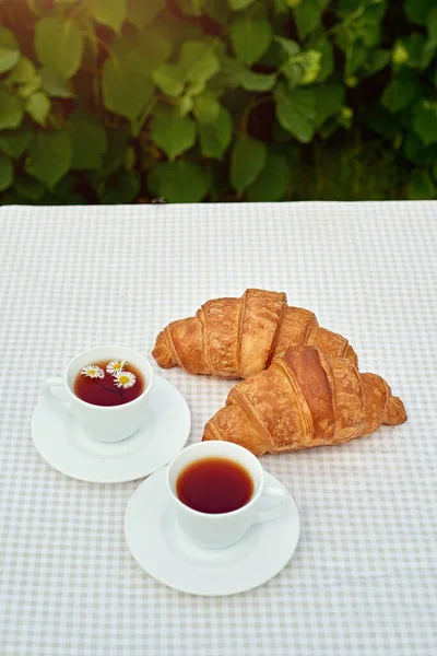 Two Cup Black Tea Camomile Fresh Croissants Table White Background — Foto de Stock