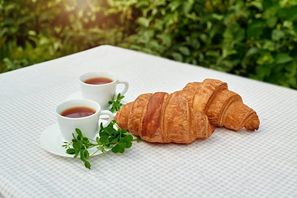 Masada beyaz arka planda papatya çayı ve taze kruvasan olsun. Bahar kahvaltısı kavramsal kompozisyonu