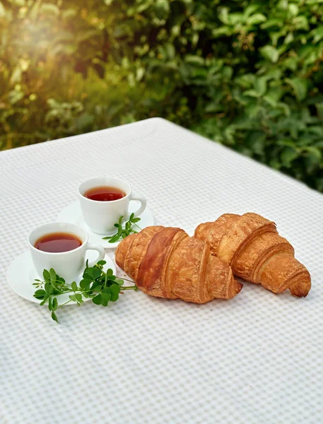Two Cup Black Tea Camomile Fresh Croissants Table White Background — Stock Photo, Image