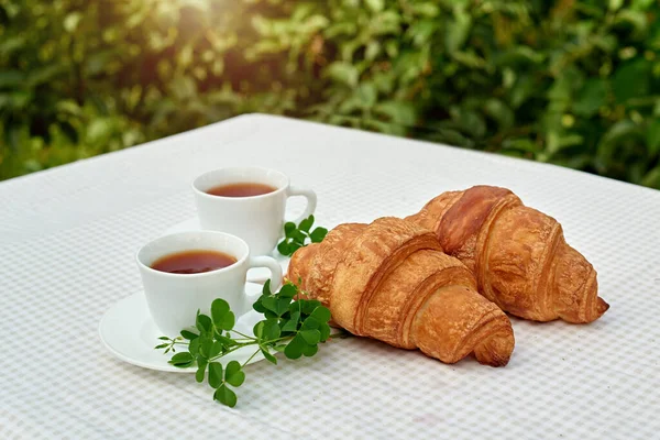 Dois Xícara Chá Preto Com Camomila Croissants Frescos Mesa Contra — Fotografia de Stock