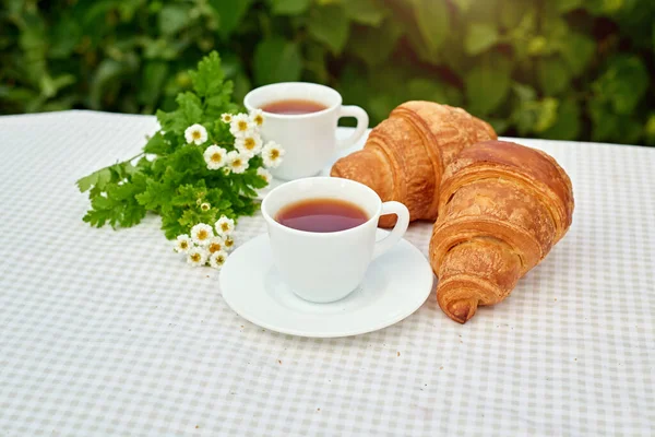 Masada beyaz arka planda papatya çayı ve taze kruvasan olsun. Bahar kahvaltısı kavramsal kompozisyonu