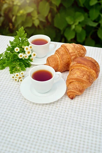 Two Cup Black Tea Camomile Fresh Croissants Table White Background —  Fotos de Stock
