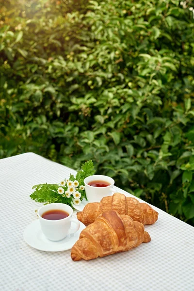 Masada beyaz arka planda papatya çayı ve taze kruvasan olsun. Bahar kahvaltısı kavramsal kompozisyonu