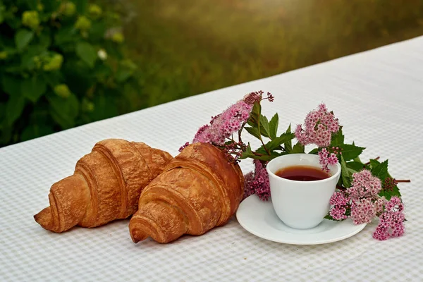 Two Cup Black Tea Flowers Fresh Croissants Table White Background — Foto de Stock