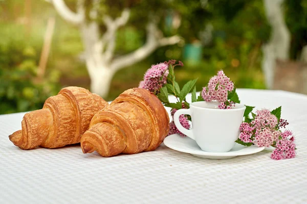 Two Cup Black Tea Flowers Fresh Croissants Table White Background — Foto de Stock