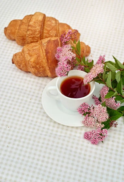 İki fincan siyah çay, çiçekler ve beyaz arka planda taze kruvasanlar. Bahar kahvaltısı kavramsal kompozisyonu