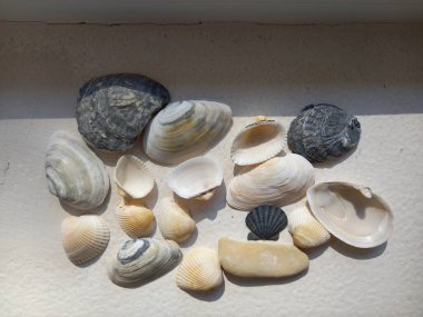 Her biri eşsiz ve güzel.