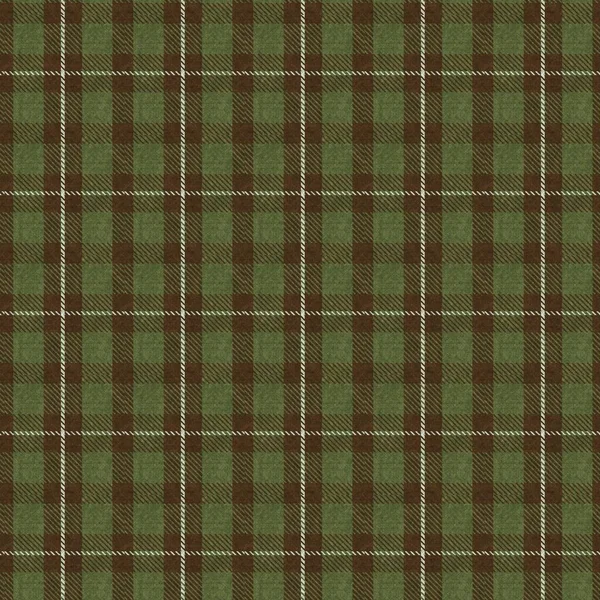  Sessiz, yeşil, ekose kumaş. Kusursuz yünlü İskoç tarzı ekose kumaş. Kırsal klasik kareli malzeme efekti tekrarla. 