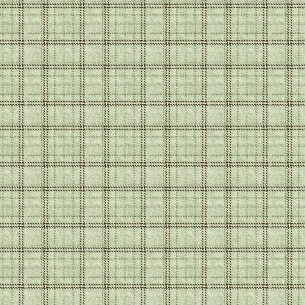 Приглушенная зеленая зимняя тканая клетчатая текстура. Бесшовная шерстяная шотландская ткань в стиле клетчатки. Сельский классический эффект клетчатого материала. — стоковое фото