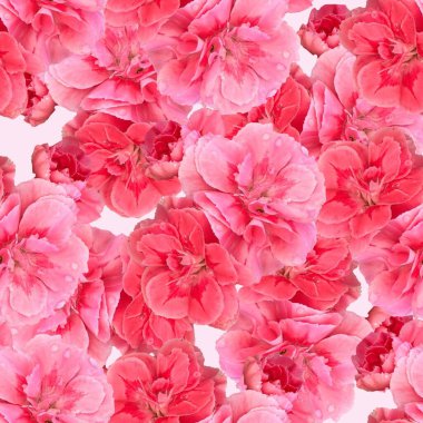 Kusursuz karanfil çiçeği fotoğraf kolajı tekrarlanıyor. Modaya uygun pembe, kadınsı bir çiçek. Cottagecore bahar bahçesi duvar kağıdı. 