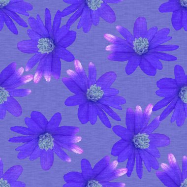 Kusursuz bir peri çiçeği fotoğraf kolajı tekrarlanıyor. Yılın kadınsı lavanta renginde desenli çiçekleri var. Bahar bahçesi duvar kağıdı. 