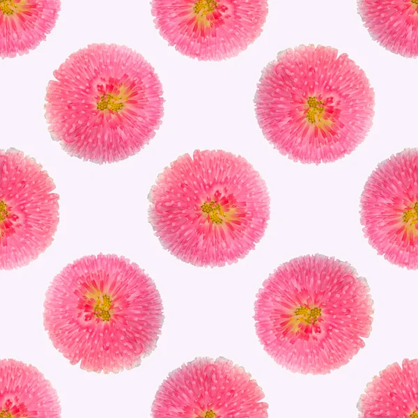 Naadloze bellis perennis bloem foto collage herhalen. Vrouwelijke mooie roze bloemen voor mode over de hele print. Cottagecore lente tuin behang. — Stockfoto