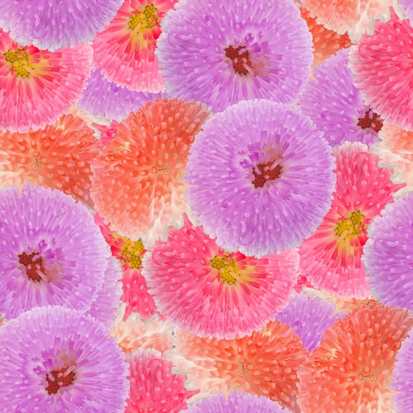 无缝制的贝利斯牡丹花照片拼贴重复 女性漂亮的粉红花 时尚处处可见 Cottagecore春花园墙纸 — 图库照片