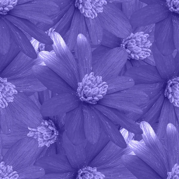 Seamless Very Peri Flower Photograph Collage Repeat Feminine Pretty Lavender — Stock Photo, Image