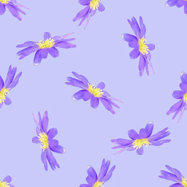 Seamless Very Peri Flower Photograph Collage Repeat Feminine Pretty Lavender — Stock Photo, Image