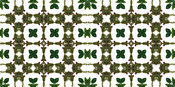 Foliage Kaleidoscope Seamless Border Pattern Trendy Optic Fresh Design Edging — Foto de Stock