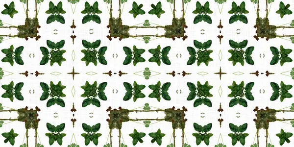 Foliage Kaleidoscope Seamless Border Pattern Trendy Optic Fresh Design Edging — Foto de Stock