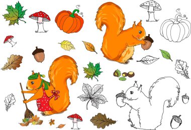 Yapraklar, balkabakları, sincaplar gibi sonbahar temasında yapıştırmak ve renklendirmek için el yapımı elementler..