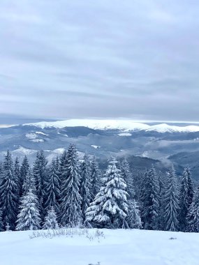 Karla kaplı dağlar bir Noel ağacı zemininde