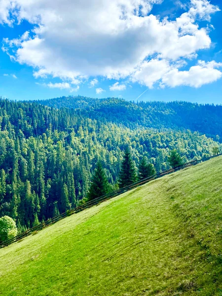 Зеленые Горы Лесом Холмами Солнечный Яркий День Много Зелени — стоковое фото