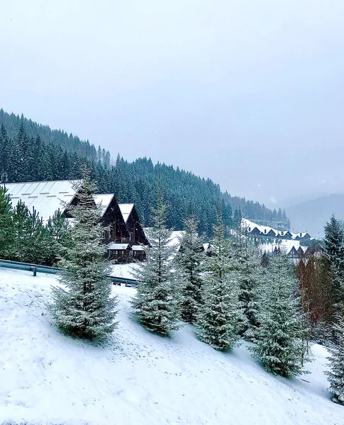 一个滑雪胜地 山上的圣诞树中间耸立着木制的房子 白雪覆盖的风景 — 图库照片