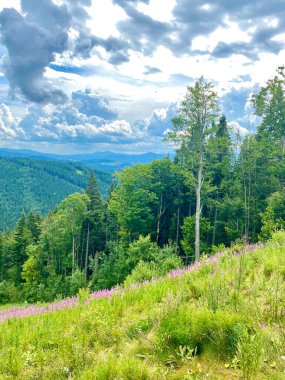 Forest mountains nature and blue sky at the end of summer