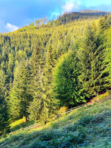 Montañas Con Bosques Verdes Cielo Azul Paisaje Verano —  Fotos de Stock