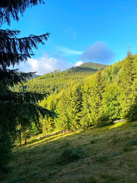 Góry Zielonymi Lasami Błękitne Niebo Letnie Krajobrazy — Zdjęcie stockowe