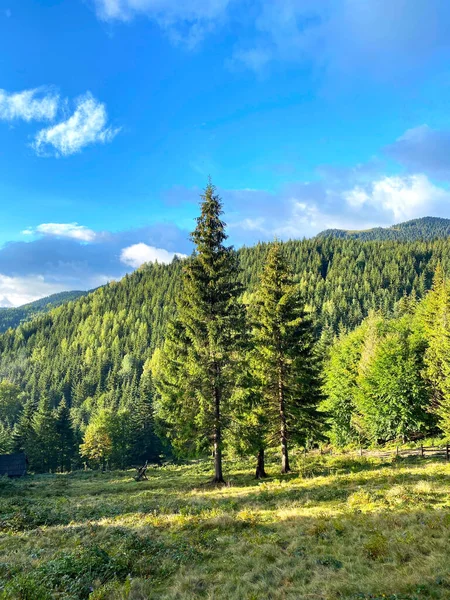 Clareira Verde Entre Montanhas Cobertas Com Floresta Céu Azul Verão — Fotografia de Stock