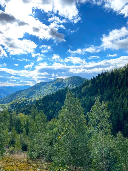 Montanhas Com Florestas Verdes Céu Azul Paisagem Verão — Fotografia de Stock