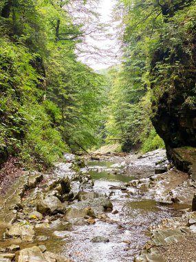 Dağlarda bir nehir kayaların ve yeşilliklerin arasında mavi gökyüzüne karşı