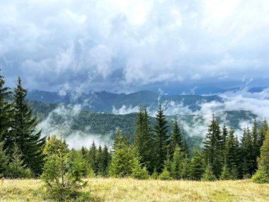 Dağlar yağmurdan sonra yazın yükselir.