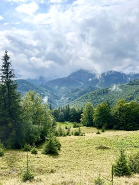 manzara dağları yeşil ağaçlar gökyüzü