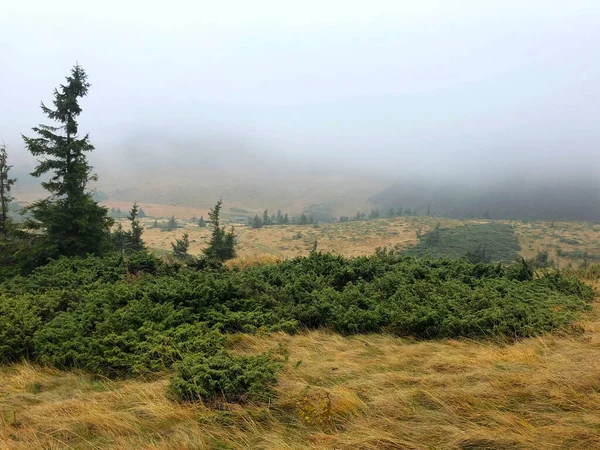 Paisaje Las Montañas Con Árboles Sobre Fondo Niebla — Foto de Stock