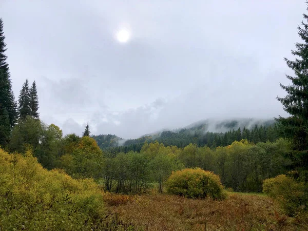Пейзаж Горах Деревьями Облаками Фоне Тумана — стоковое фото