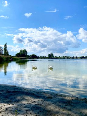 Gölde gökyüzüne ve yazın bulutlara karşı bir çift kuğu.