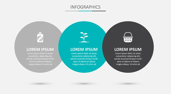 Set Sprout, Spray against insects and Wicker basket. Business infographic template. Vector — Stock Vector