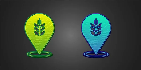 Gröna och blå Spannmål set med ris, vete, majs, havre, råg, korn ikon isolerad på svart bakgrund. Öron av vetebröd symboler. Vektor — Stock vektor