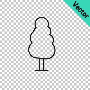 Şeffaf arkaplanda siyah çizgi ağaç simgesi izole edildi. Orman sembolü. Vektör