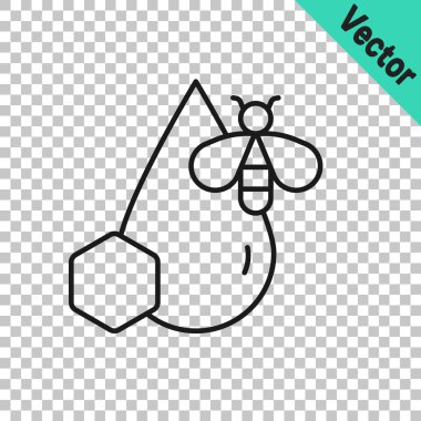 Siyah çizgi Arı ve bal peteği simgesi şeffaf arkaplanda izole edildi. Bal hücreleri. Bal arısı ya da kanat sembollü apis. Uçan böcek. Tatlı doğal yemek. Vektör