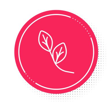 Beyaz çizgi Yaprak simgesi beyaz arkaplanda izole edildi. İşaret bırakıyor. Taze doğal ürün sembolü. Kırmızı daire düğmesi. Vektör