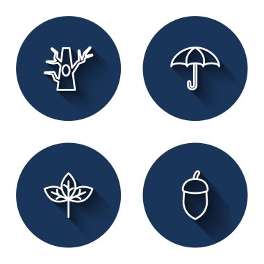 Saflık Ağacı, Şemsiye, Yaprak ve Meşe, uzun gölgeli. Mavi daire düğmesi. Vektör