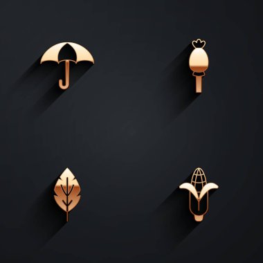 Şemsiye, afyon haşhaşı, Yaprak ve Mısır ikonunu uzun gölgeli ayarla. Vektör