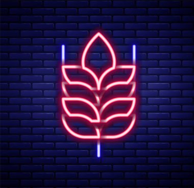 Pilav, buğday, mısır, yulaf, çavdar ve tuğla duvarda izole edilmiş arpa ikonu içeren parlak neon çizgili mısır gevrekleri. Buğday ekmeği sembolleri. Renkli taslak konsepti. Vektör