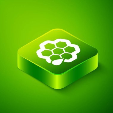 Isometric Bal Tarağı simgesi yeşil arkaplanda izole edildi. Bal hücrelerinin sembolü. Tatlı doğal yemek. Yeşil kare düğmesi. Vektör