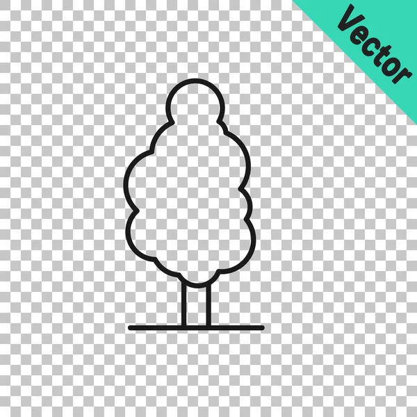 Black line Tree icon isolated on transparent background. Forest symbol. Vector — Stock Vector