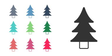 Siyah ağaç simgesi beyaz arkaplanda izole edildi. Orman sembolü. Simgeleri renklendirin. Vektör